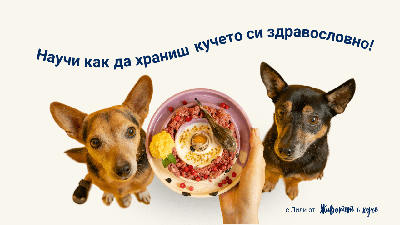 десктоп начало Главна снимка на сайта