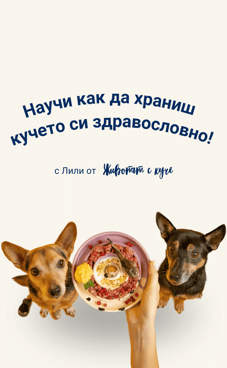 мобилна начало Главна снимка мобилни
